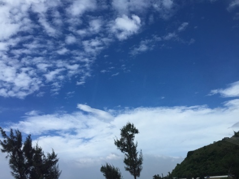 a0170045_01570496.jpeg