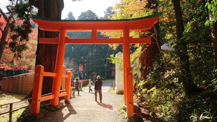 紅葉撮影　中尊寺７　＠岩手県_f0048546_23102665.jpg