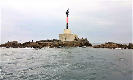 海獺島 アシカ 紀州よいとこ