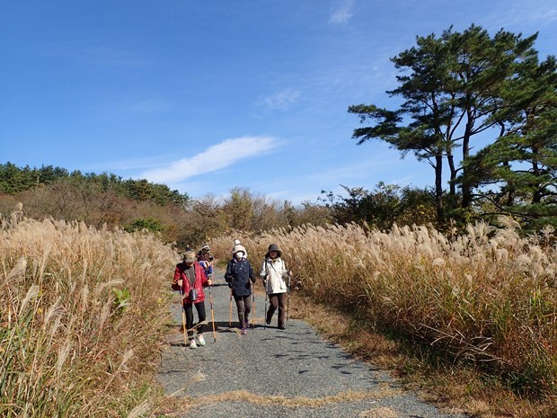 f0214649_06181750.jpg