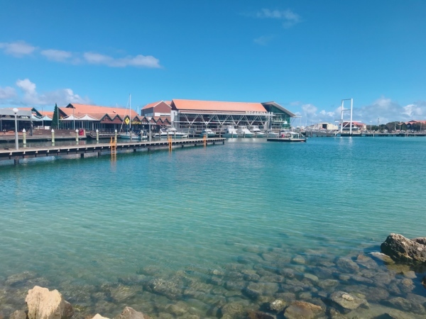 f0304452_10322419.jpeg