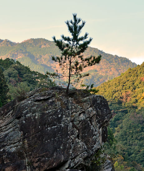 b0016557_16451555.jpg