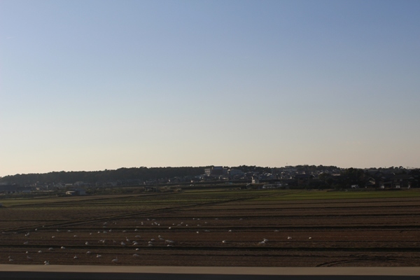 d0355259_15402231.jpg