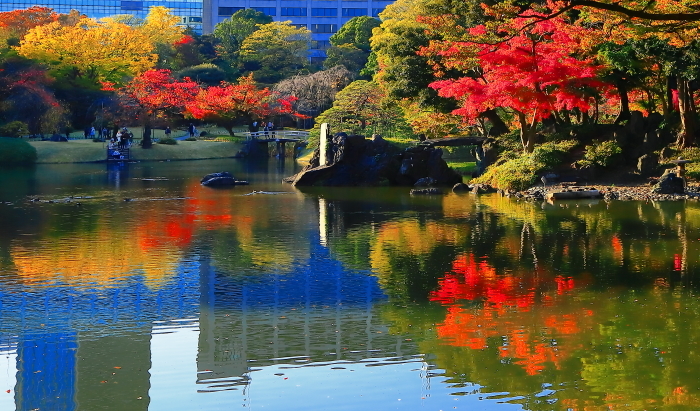 2017年11月17日.小石川後楽園　　　　　　　　　　　　　　　　　　　　2017年11月18日更新_a0150260_03060886.jpg