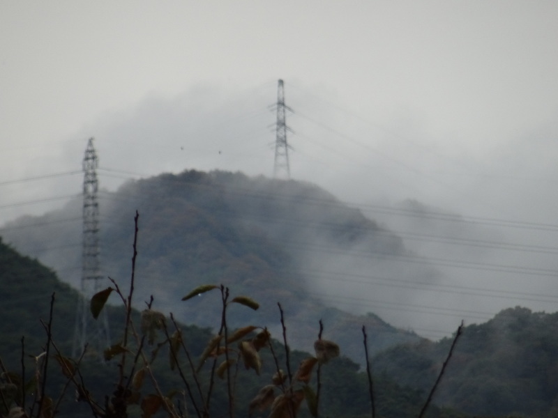 c0108460_15483167.jpg