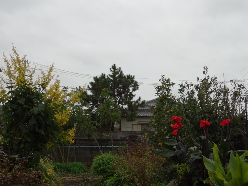 c0108460_15483428.jpg