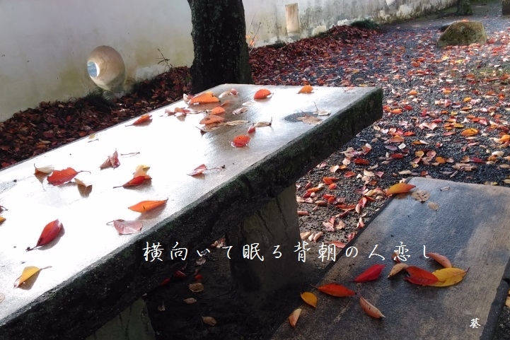 f0379160_18554443.jpg