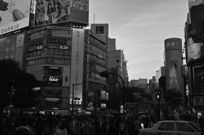 d0349265_13394540.jpg