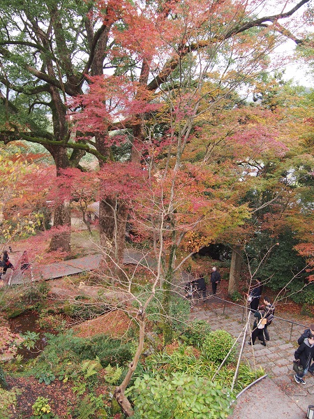 f0101679_17502149.jpg