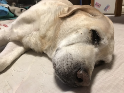 f0315081_15403931.jpeg