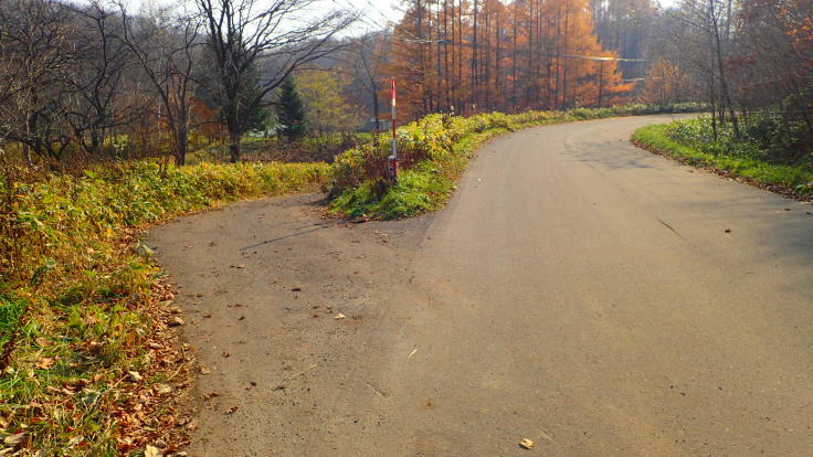 a0242984_10154671.jpg