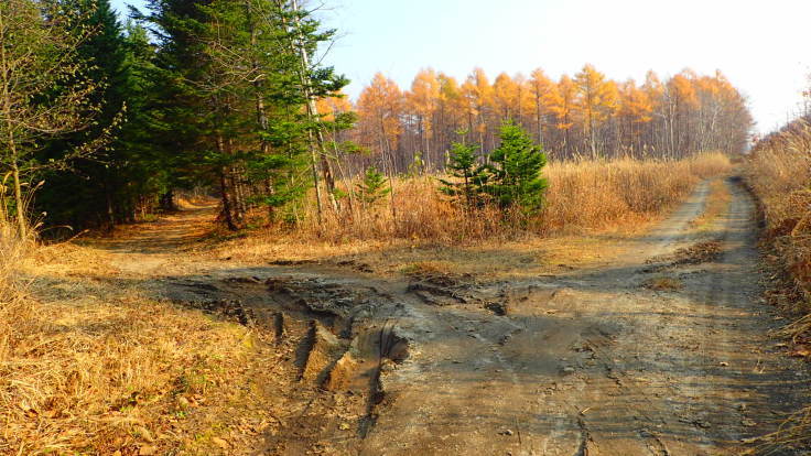 a0242984_10221659.jpg