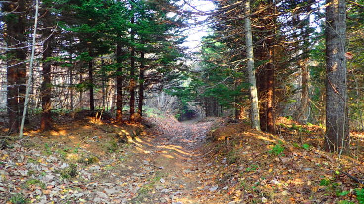 a0242984_10242864.jpg