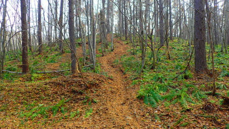 a0242984_10382003.jpg