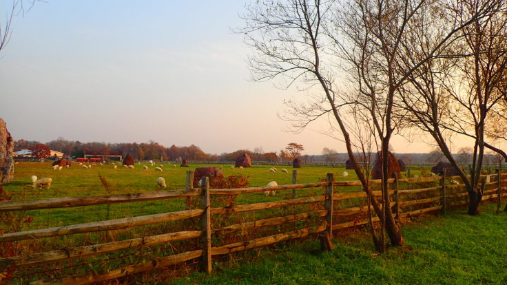 a0242984_10510159.jpg