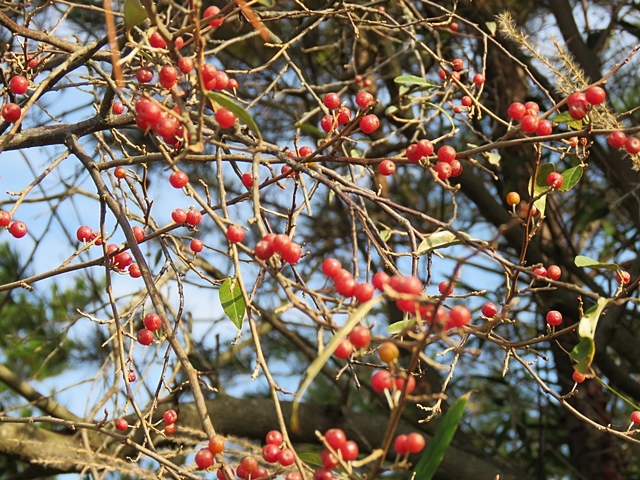 f0357487_19413562.jpg
