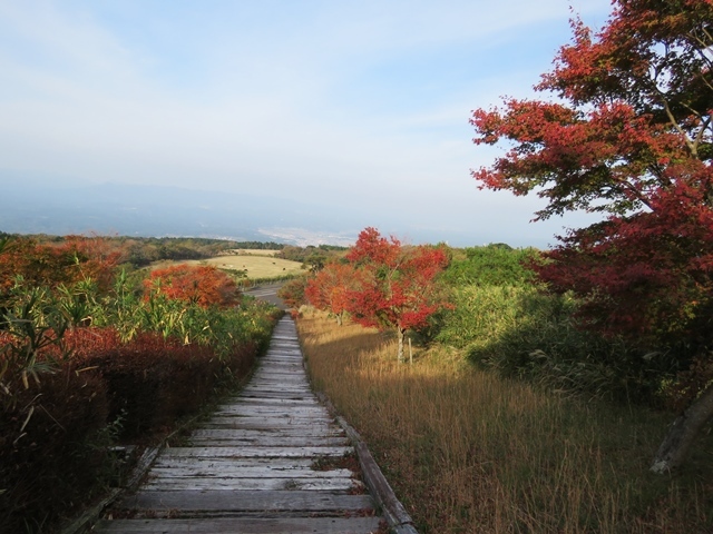 栗野岳へ、16日_f0357487_19443005.jpg