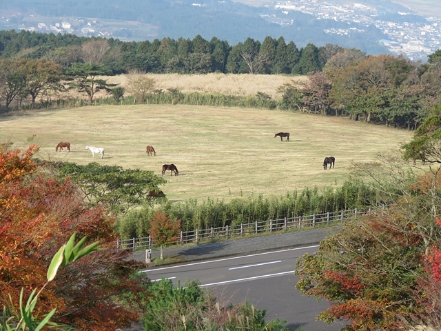 栗野岳へ、16日_f0357487_19445774.jpg