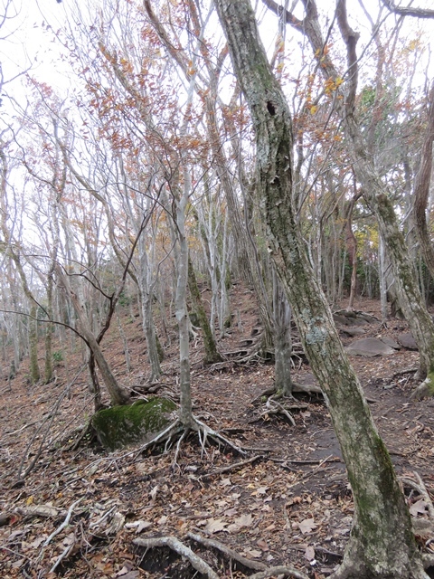 f0357487_19511345.jpg
