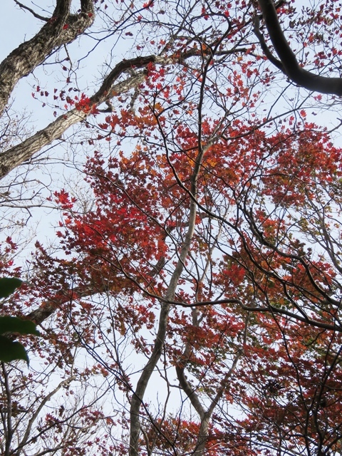 f0357487_19584805.jpg