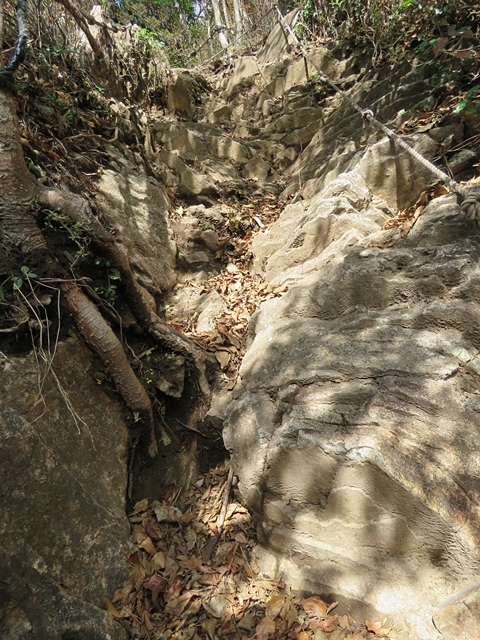 f0357487_20004646.jpg