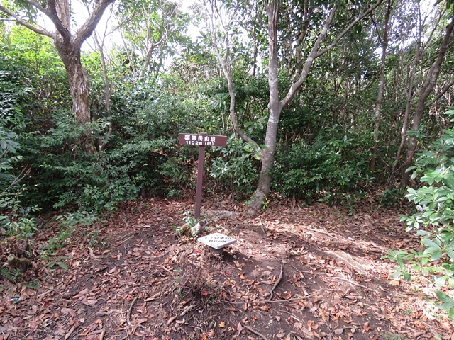 f0357487_20033135.jpg