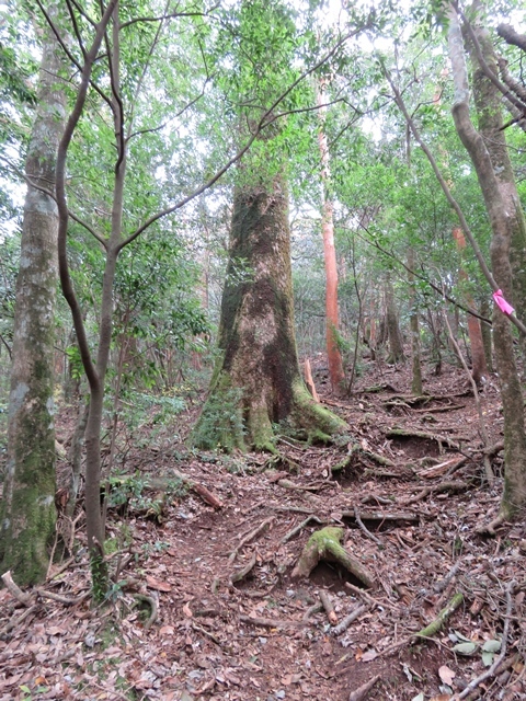 f0357487_20081797.jpg