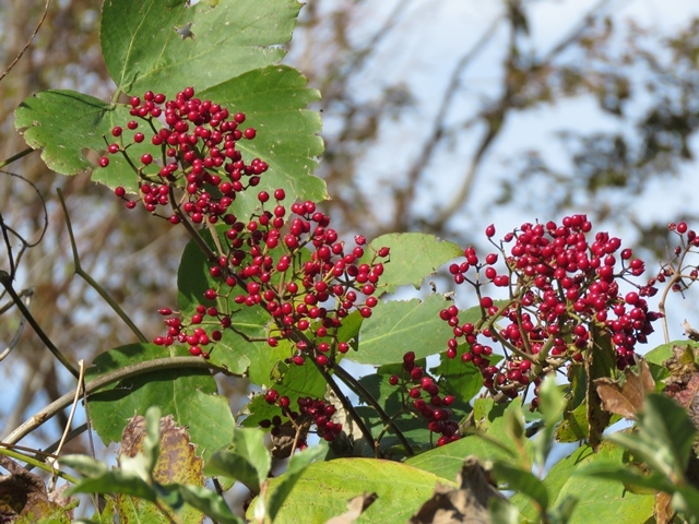 f0357487_20174713.jpg