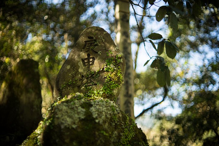 静かに錆逝く山里_d0353489_2043783.jpg