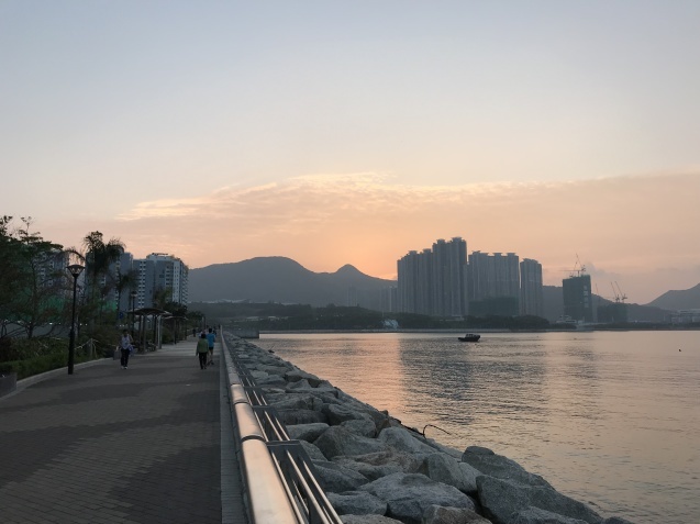 b0027290_16242784.jpg