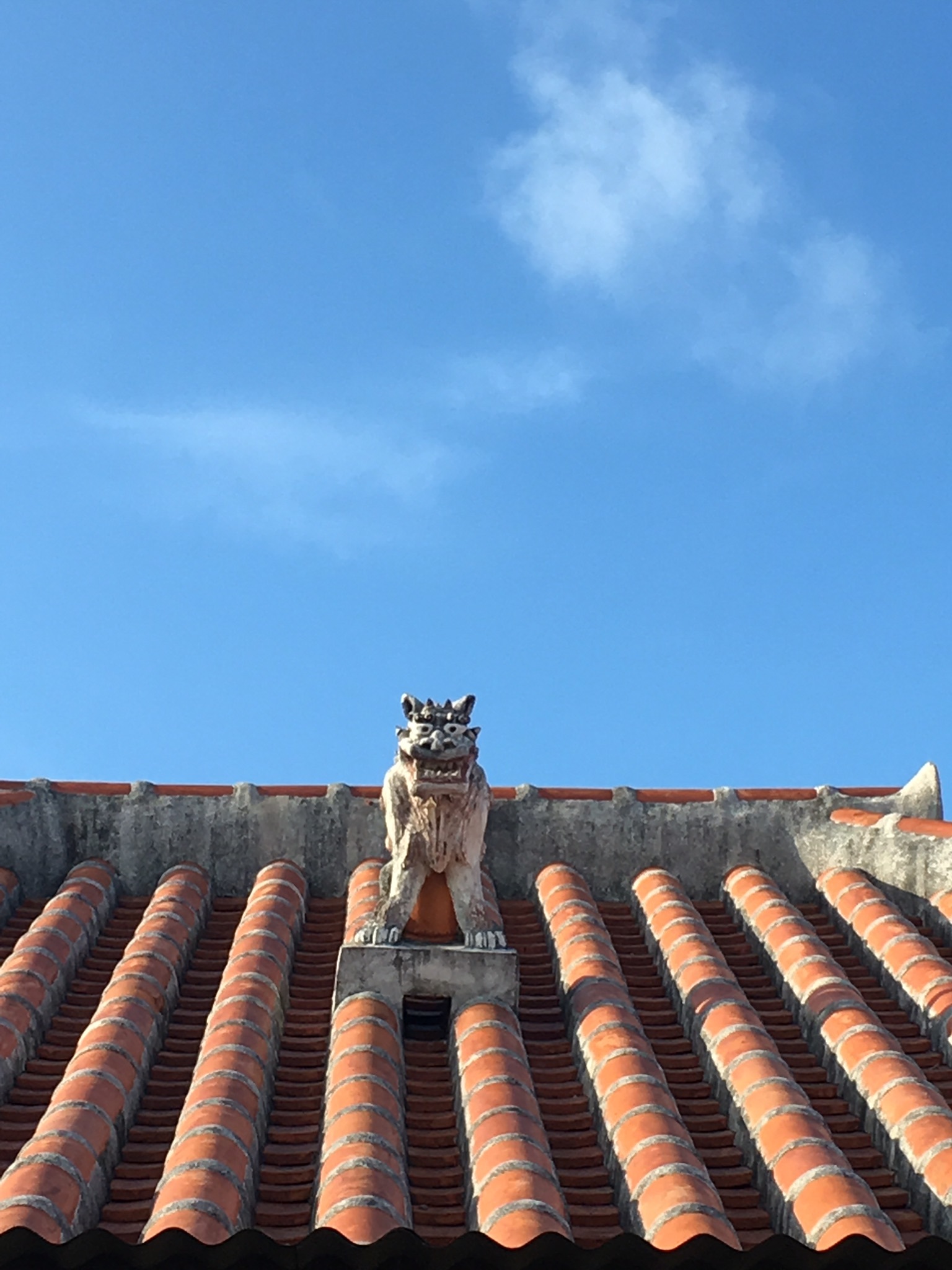 2017年8月竹富島_e0003090_18521694.jpeg