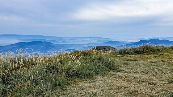 e0176993_09534092.jpg