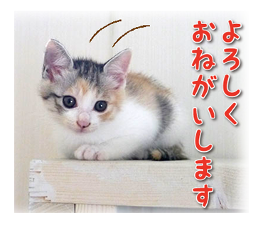 スーさんトライアル通信&フリマご寄付ありがとございます〜♬_d0071596_22485736.png