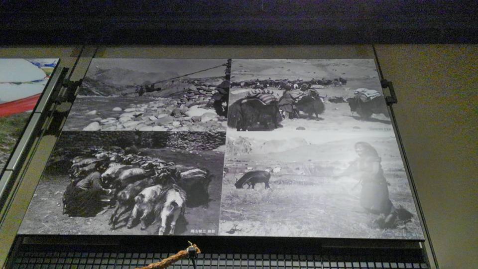 e0111396_1213123.jpg