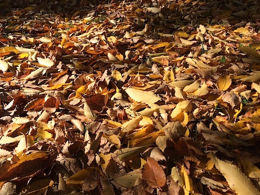 c0124998_18035461.jpg