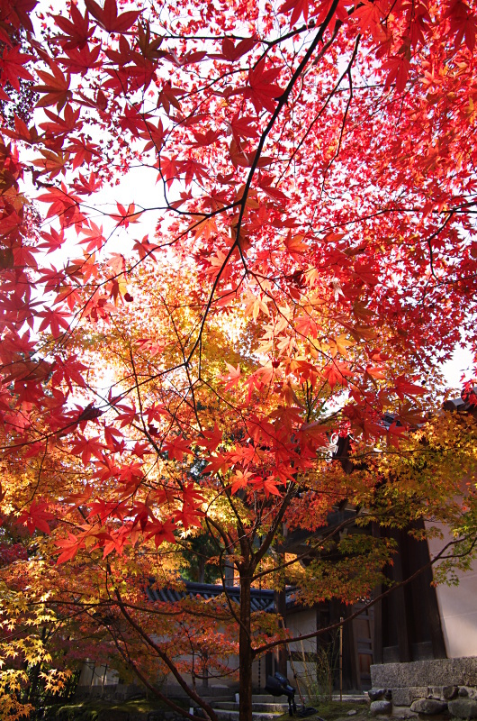 c0382798_09415784.jpg