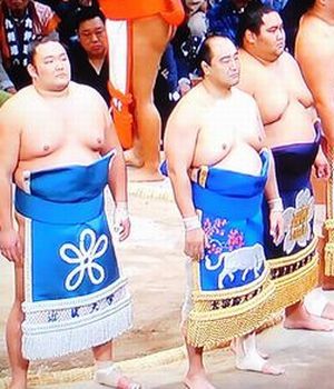 安美錦　九州場所　八日目（中日）　_b0044404_17183239.jpg