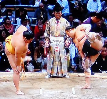 安美錦　九州場所　八日目（中日）　_b0044404_17205791.jpg