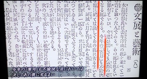 「漱石先生 この絵はお嫌いですか～孤高の画家 木島櫻谷～」@日曜美術館_b0044404_23390687.jpg