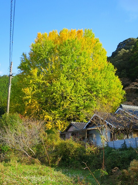 d0360104_14451890.jpg