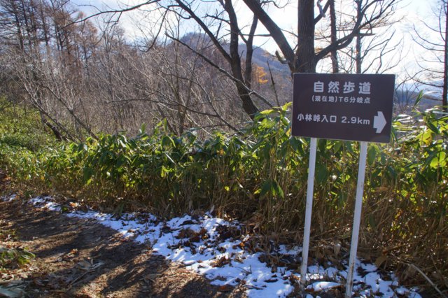 2017年11月17日(金) 藻岩山(標高531m)旭山公園コース_a0345007_1330154.jpg