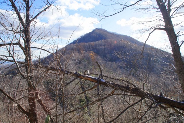 2017年11月17日(金) 藻岩山(標高531m)旭山公園コース_a0345007_1331406.jpg