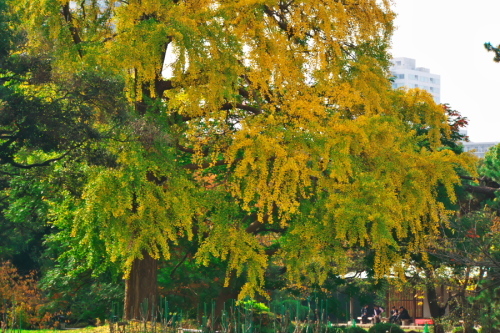 a0263109_20263929.jpg