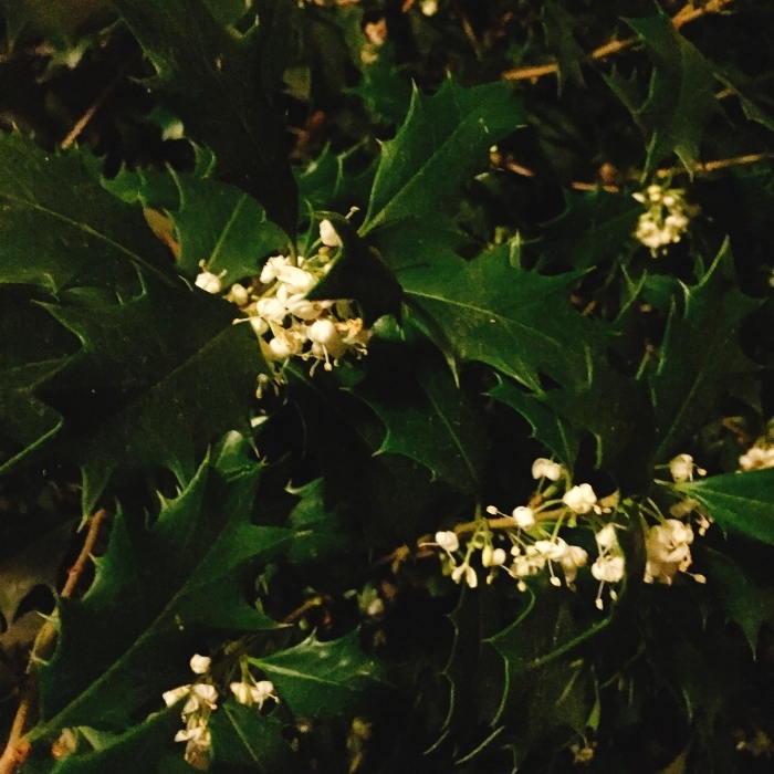 d0138811_22211761.jpeg
