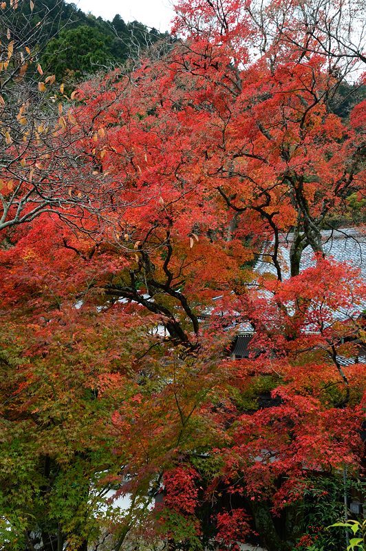 f0032011_17262447.jpg