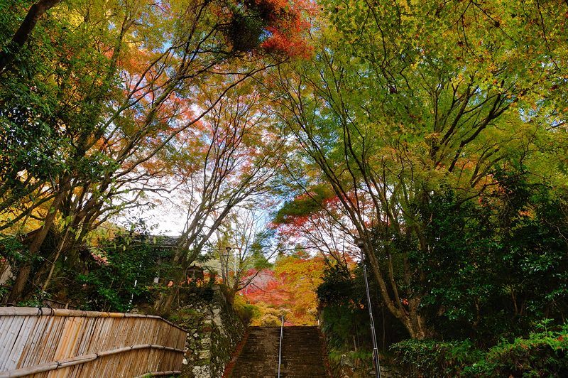 2017京都の紅葉･洛西　金蔵寺　其の一_f0032011_19400577.jpg