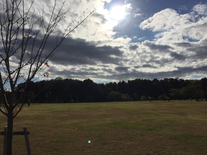 a0251116_15525450.jpeg