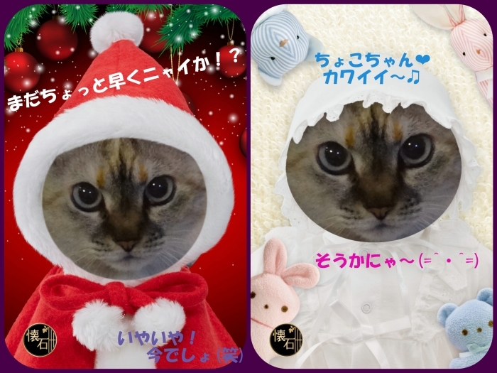 昨日はHappy Caturday (=^・^=)2017年11月18日(土)_b0290816_00371095.jpg