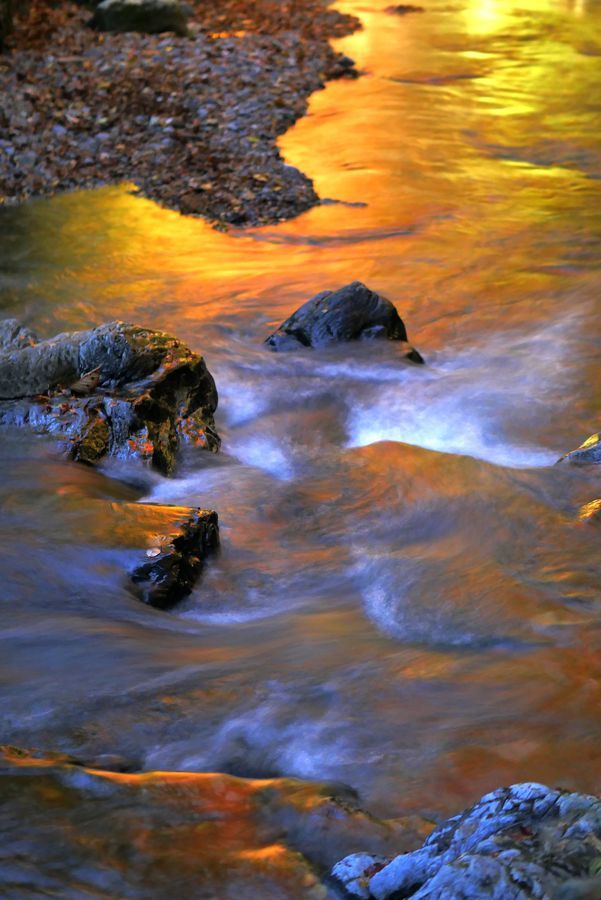 蓬莱山　紅葉最前線レポート（２）渓流に照り映えるモミジこそ♪_a0031821_12454307.jpg