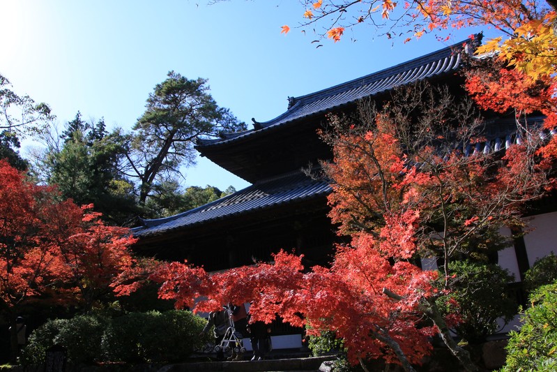 宝福寺_f0363125_15102516.jpg